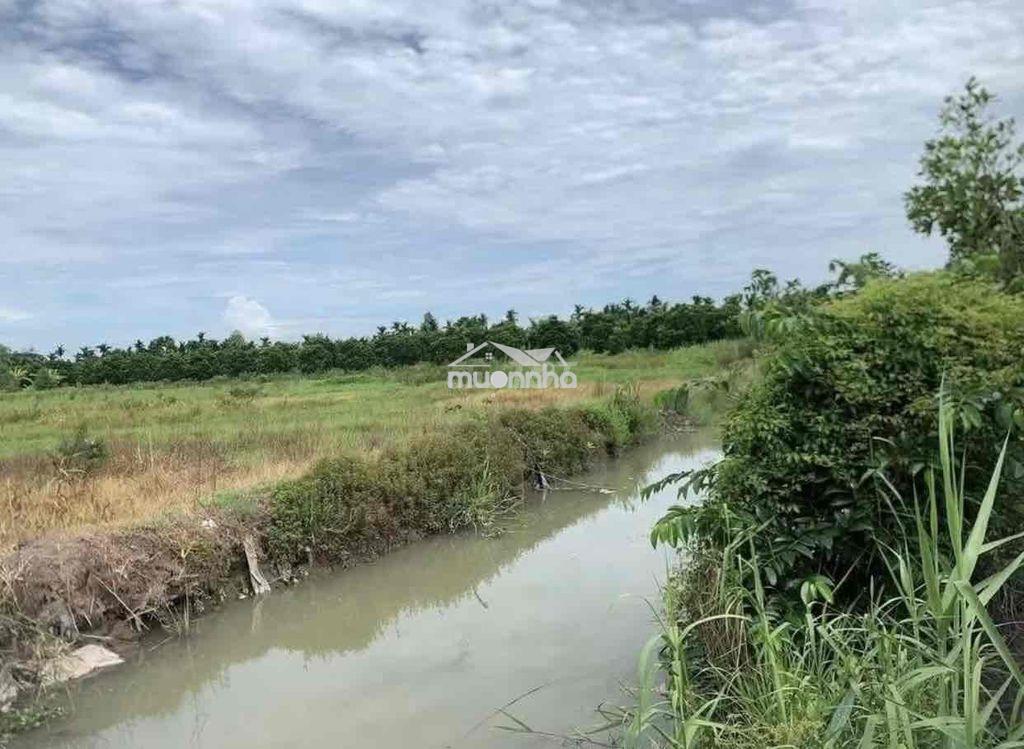 5 công tầm lớn định môn - 3