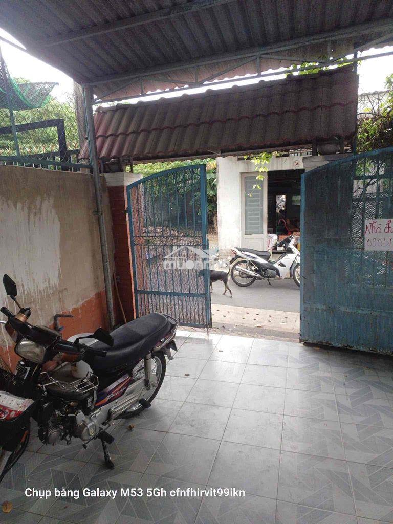 Nhà phú thọ mái thái chỉ 5tr/th - 2