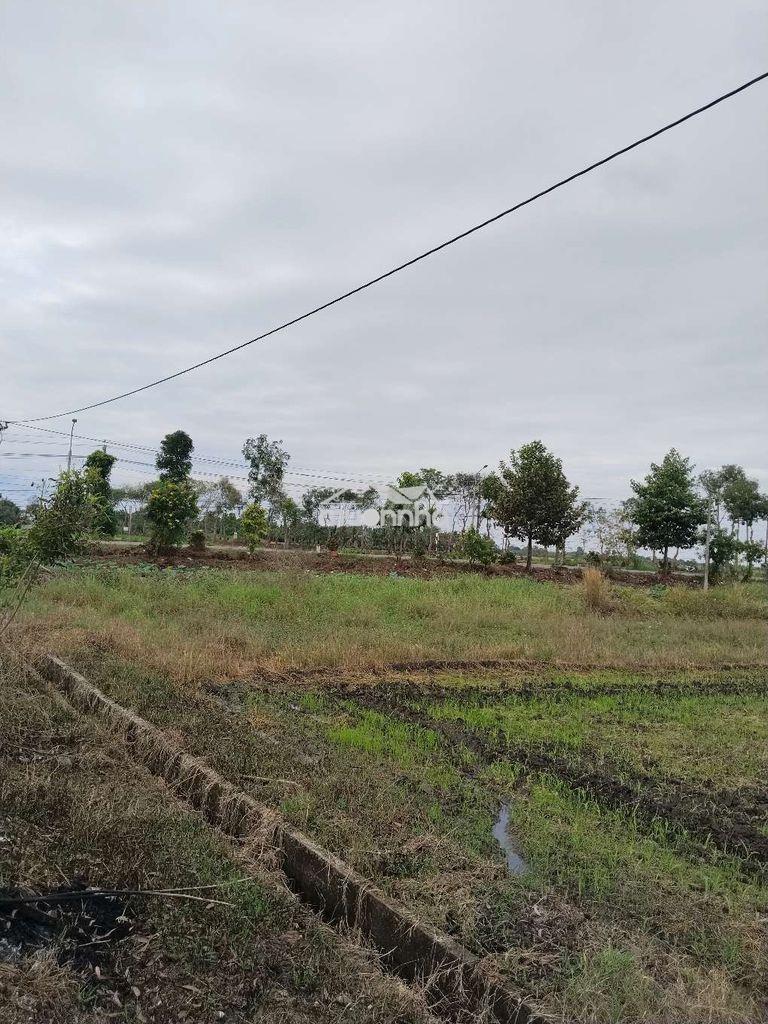 Đất ruộng - 3