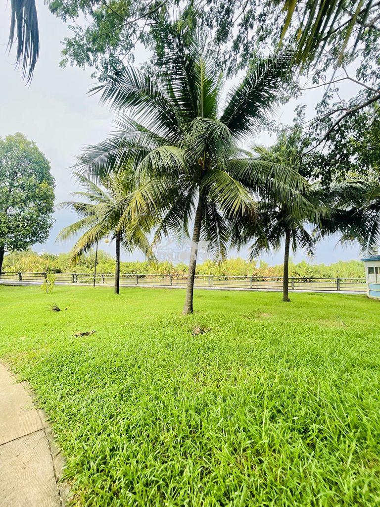 Nhà compound liên phường q9 - park riverside - 3 tầng full nt -3pn 3wc - 4