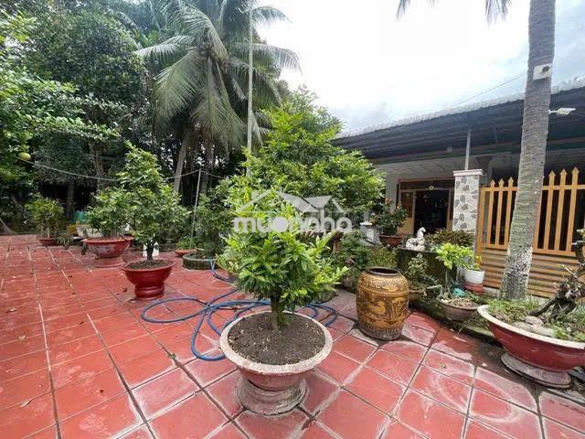Nhà vườn 666m² hxh -tl 8 bình mỹ, củ chi –300m² thổ cư-giá 8.7 tr/m² - 2