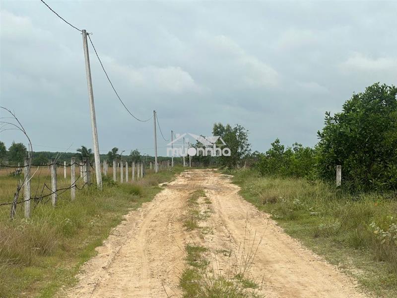 Bán 1001m2 đất đường số 1 -  lagi gần biển giá ngộp 1.6 tỷ