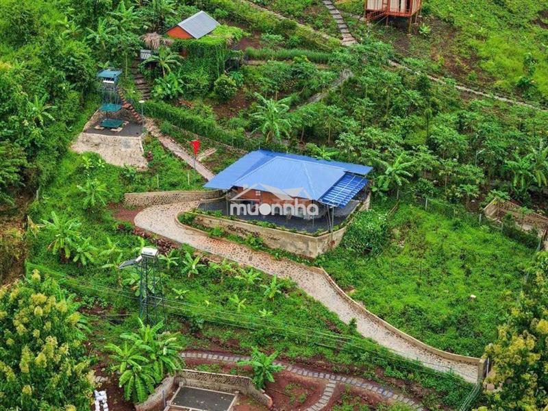 Bán đất vườn view sông la ngà – diện tích 1.400m² – giá chỉ hơn 1 tỷ