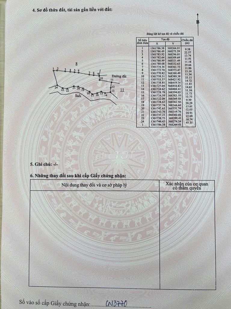 Cần tiền bán gấp nhà vườn bưởi đang thu hoạch - 4