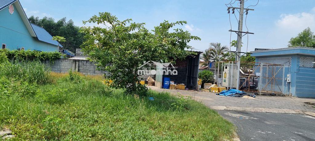 Bán gấp đất mặt tiền kinh doanh đối diện chợ long phú, long thành, đn - 3