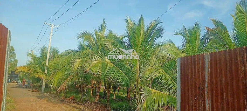 Đất gia đình cần bán mtiền đường nhựa nhà nước tại bàu hàm tp.đồng nai - 3