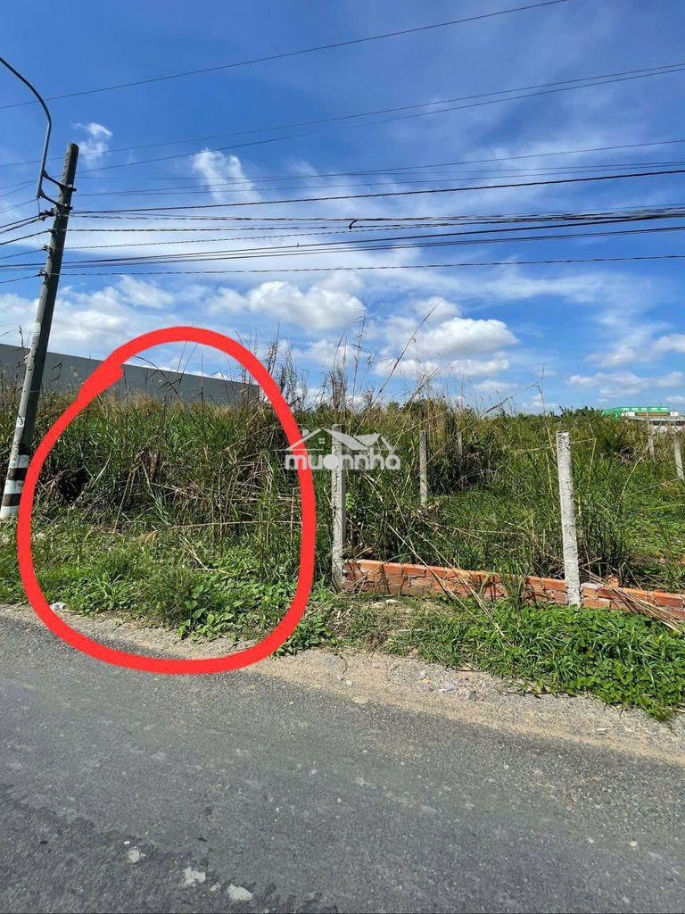 Bán 164m2 thổ cư đường nhựa 6m, 2 lô đất vườn đường đá 4m, cần giuộc