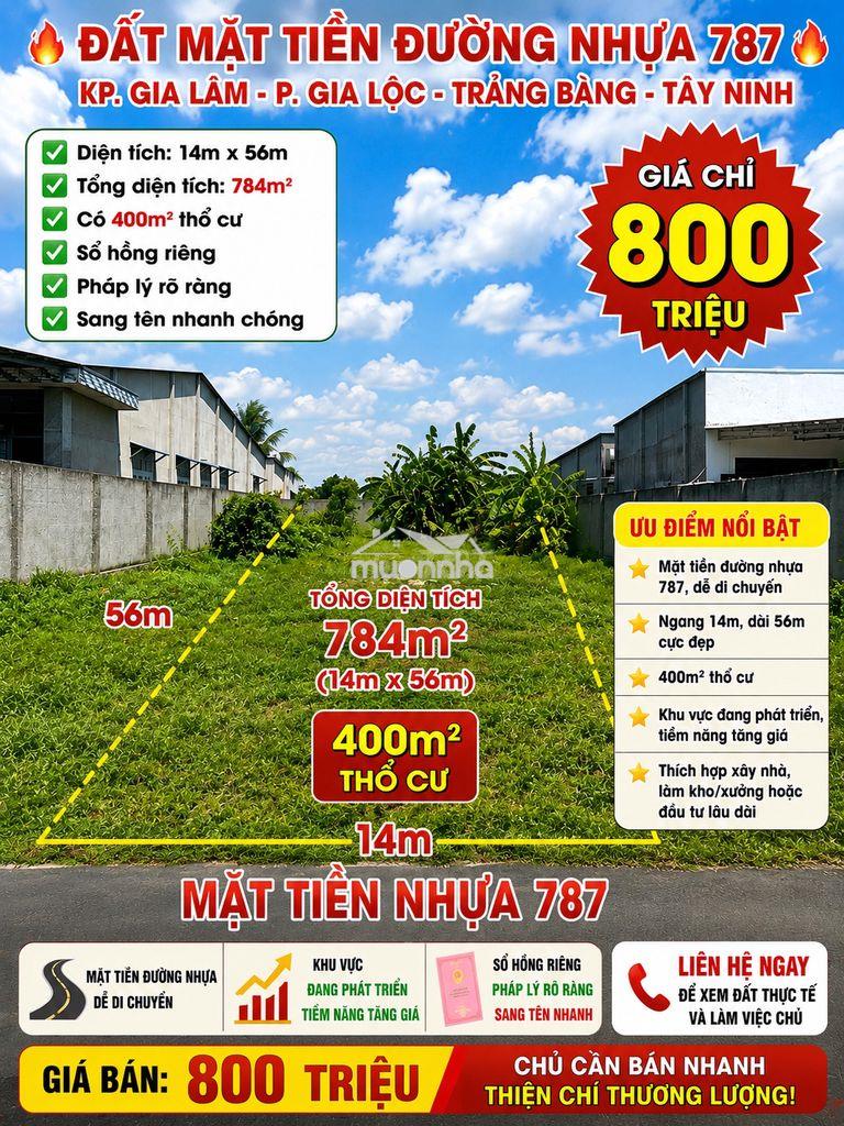 Chủ cần bán gấp lô đất mặt tiền 787 dt khủng 775,7m2 chỉ 800tr gia lộc