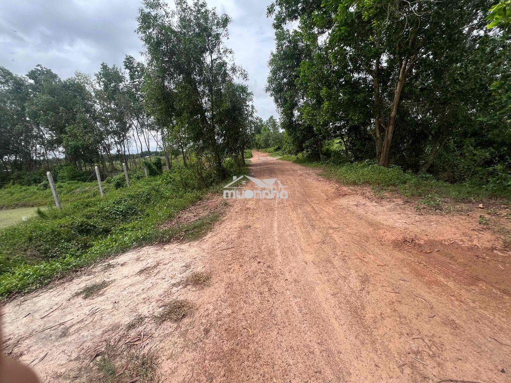 Đất nn làm đa mục đích - 2