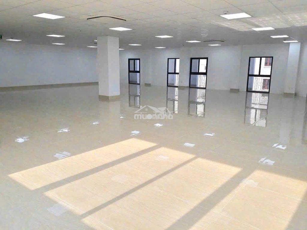 🔥 Cho thuê nguyên tòa vp an phú q2 – 1.500m² sàn – giá 300tr/tháng - 4