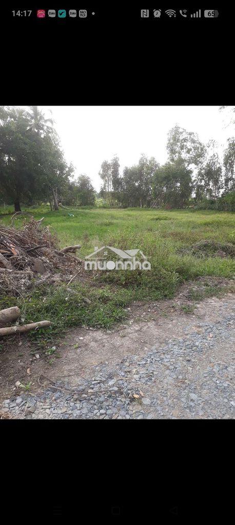 Đất thổ cư toàn bộ 700m2 ngang 20m sát bên chợ thị trấn đức huệ - 3