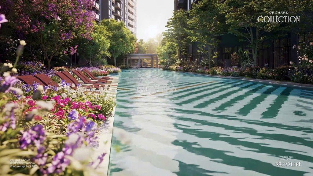 Orchard collection. mảnh ghép cuối cùng thuộc sycamore capitaland. - 4