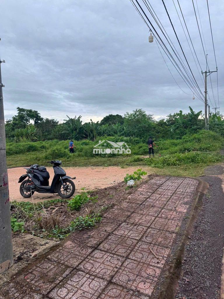 Bán nhanh lô góc 2 mặt tiền đường nhựa, đối diện kcn xuân quế - 3