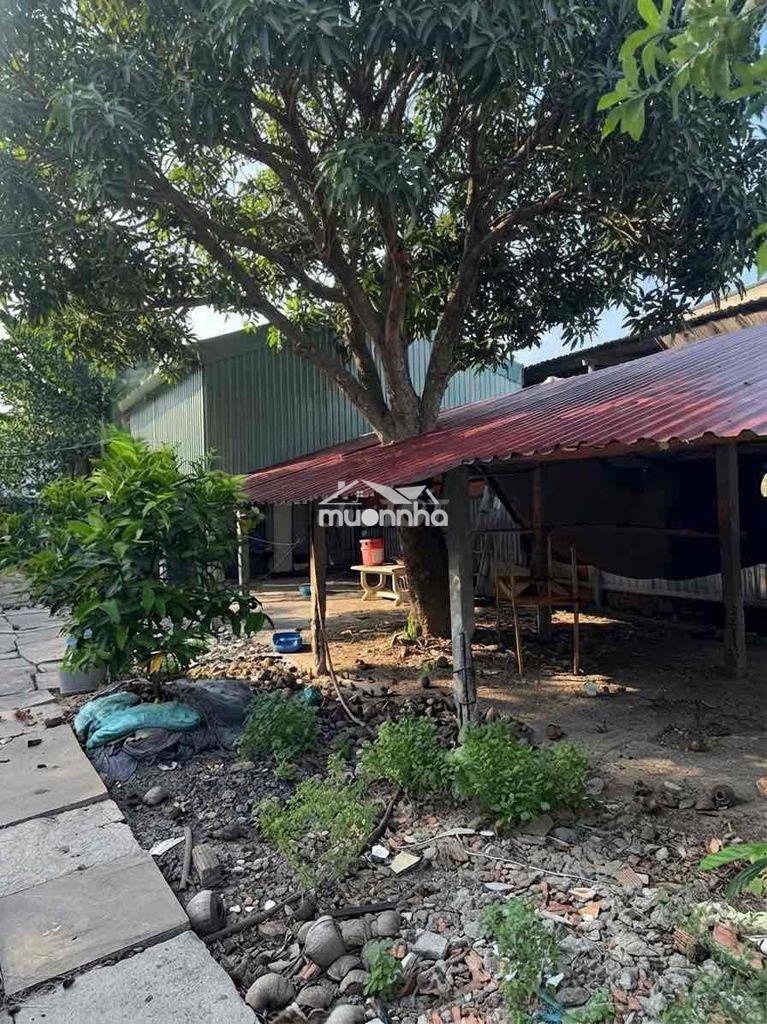 Chính chủ-5.9 tỷ tl 646m2- chợ bà điểm - 3