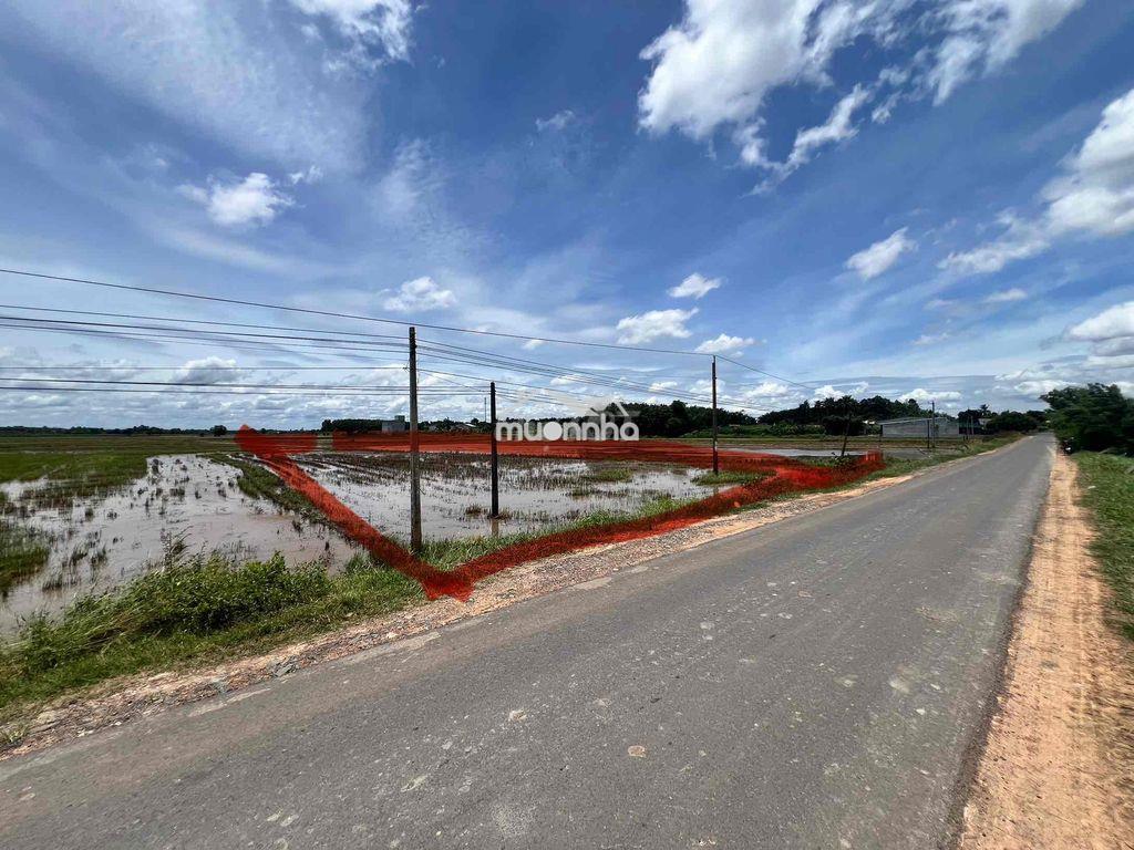Cần xoay tiền, bán lỗ vốn - 4