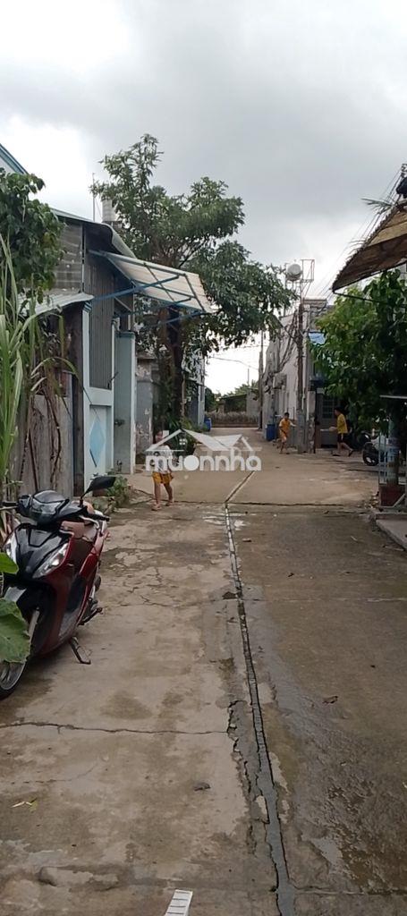 Cần bán gấp nhà hẻm xe hơi, chính chủ  - 4