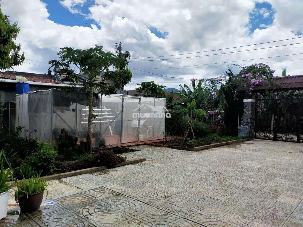 Nhà sân vườn  - 3