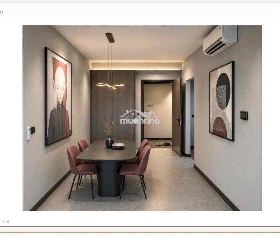 Cho thuê ntcb+full nội thất chung cư delasol quận 4 - 3