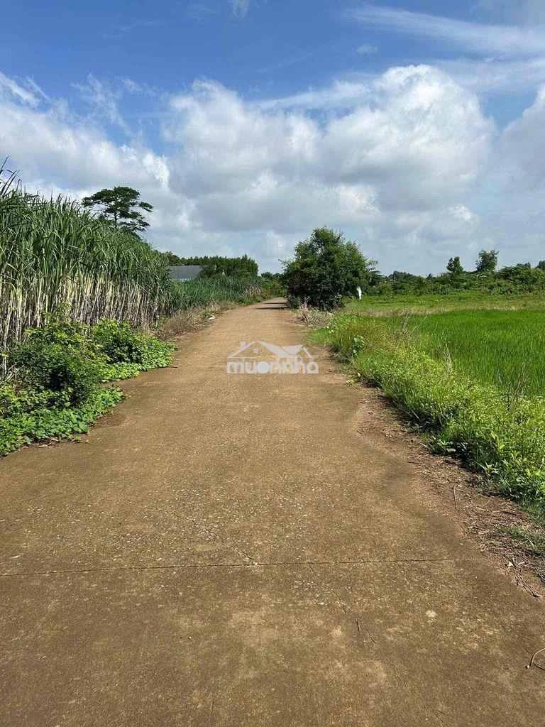 (Giảm 300tr) chính chủ bán đất xã châu pha gần kcn - 3