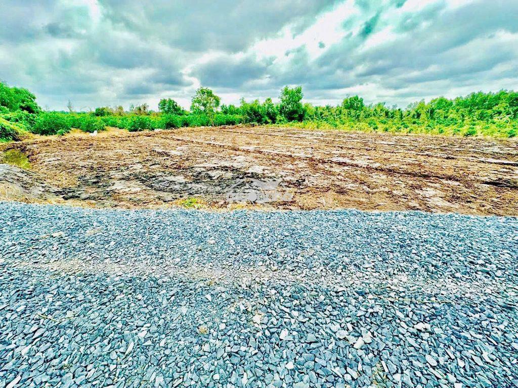 Bán 500m2 tại tỉnh lộ 816, xã thạnh hòa, huyện bến lức, 395 triệu  . - 4