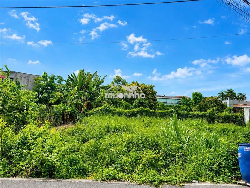 Cần tiền bán nhanh đất củ chi 283m², đường 12m , chỉ 680 triệu shr