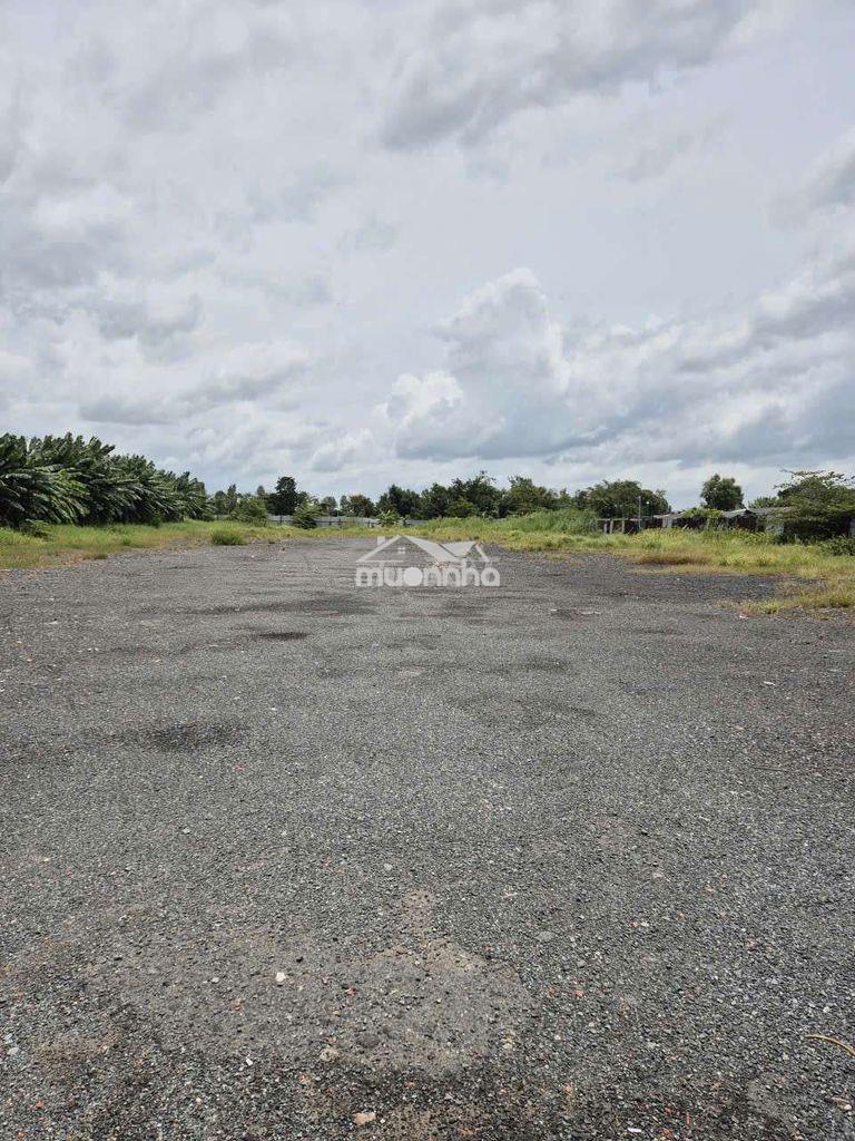 Đất chính chủ cho thuê 45m x 120m có 3pha