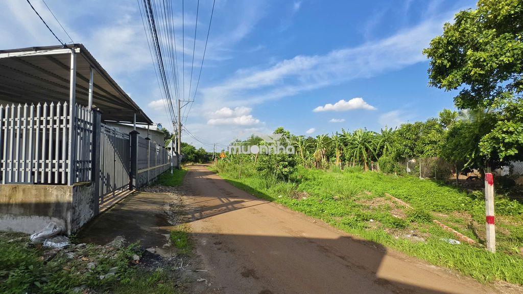 330m2 đất thổ cư, sổ riêng, đường nhựa gần chợ sông thao, nhỉnh 2tr/m2 - 3