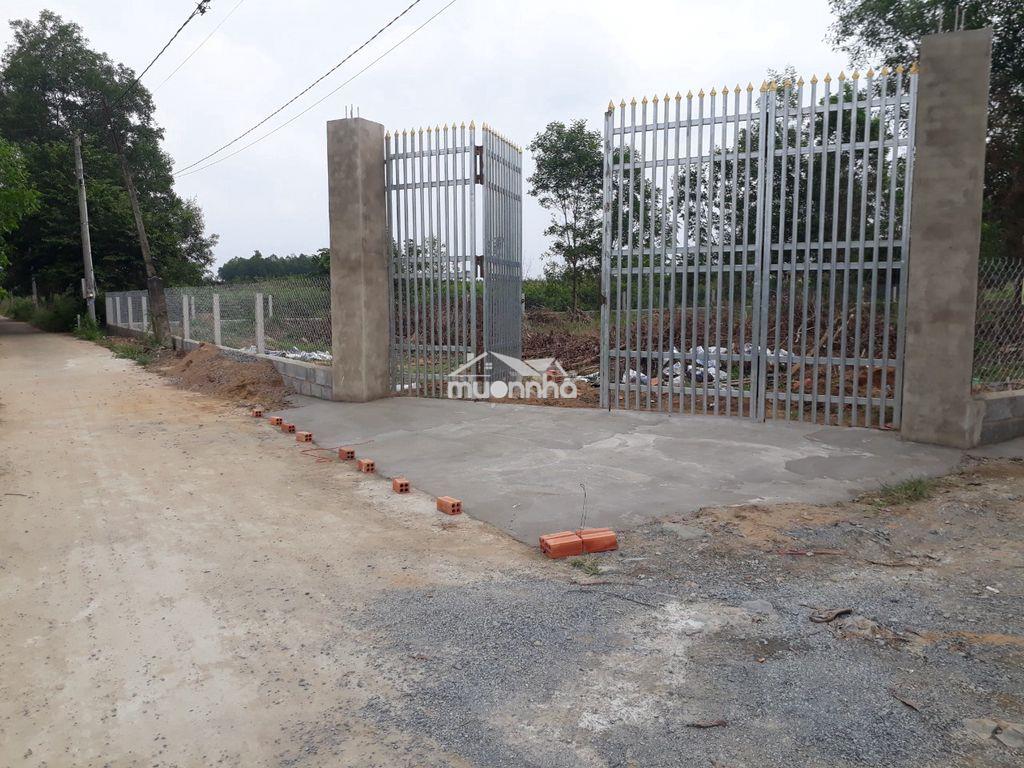 Bán 400m² (13.2m x 30.5m) full thổ xã bình lợi, h,vĩnh cửu, t.đồng nai - 3