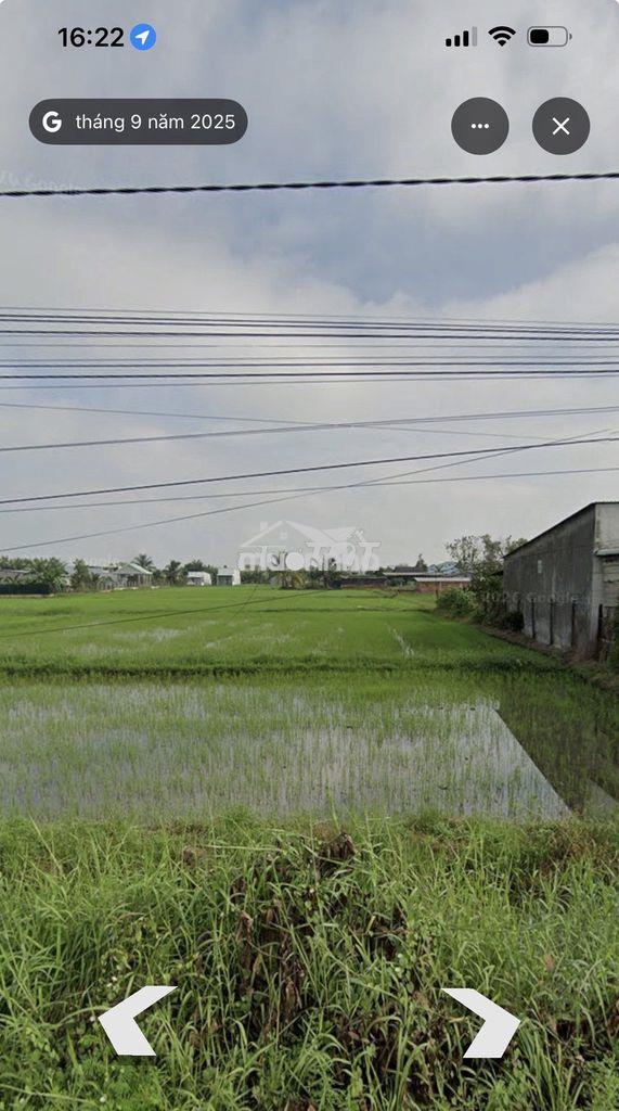 Chính chủ bán đất 1283m2 giá 2.8 tỷ tại xã hòa khánh tỉnh tây ninh - 3