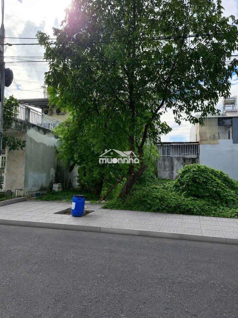 Chỉ 1 tỷ 600 triệu sở hữu ngay lô đất 90m² tại kdc lavender
