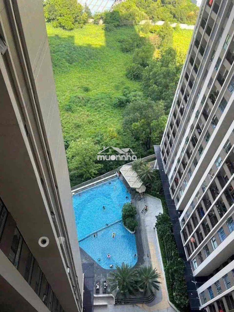 Cần cho thuê gấp căn 1pn chung cư opal sky line - 3