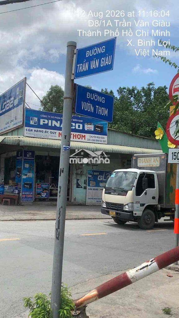 Bán 4500m2 đất trồng cây ăn quả xã bình lợi, bình chánh - 3