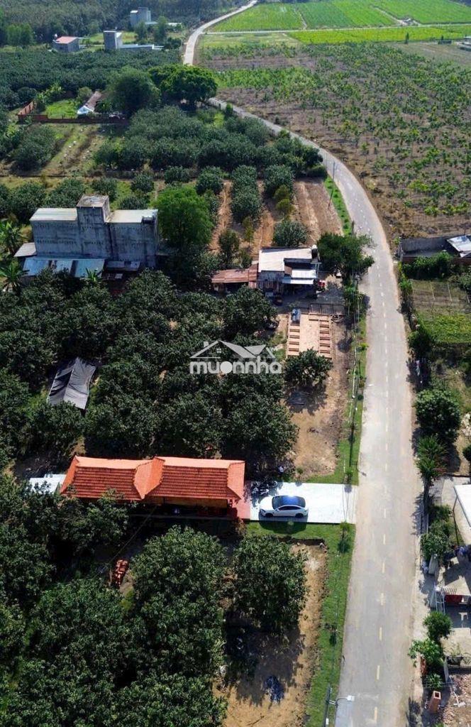 2128m2 đất vườn xanh mát- mặt tiền đường nhựa trung tâm - 2