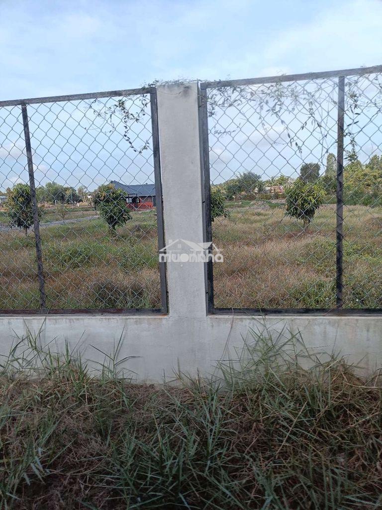 Đất thổ cư toàn bộ 700m2 ngang 20m sát bên chợ thị trấn đức huệ