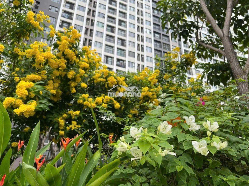 Cho thuê 57m2 picity high park nhà trống giá 7tr - 2