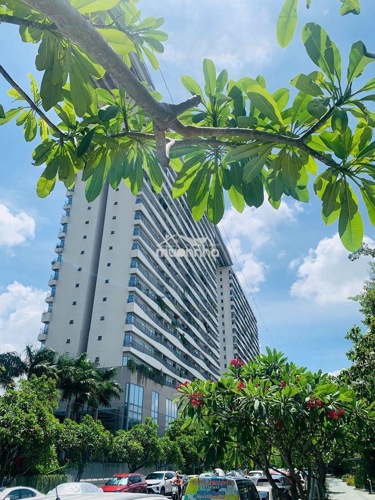 Ch 56m2 diamond lotus riverside, cầu chữ y,giá tốt, sổ hồng,view sông, - 2