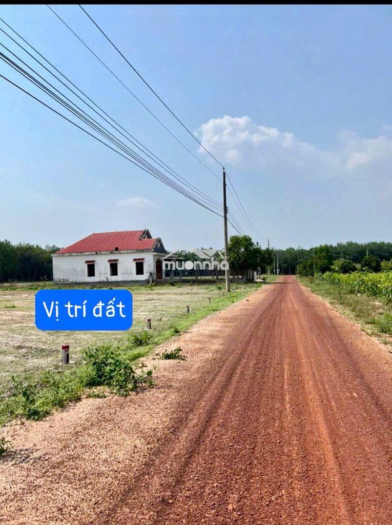 Đất thổ cư tphcm (dầu tiếng cũ)| 206m² có sẵn 100m² thổ cư