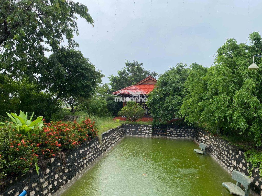 Đất mặt tiền đường quảng phú tân an - 2