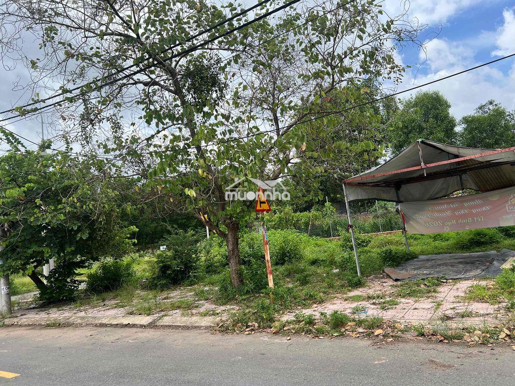 Tđc tân phong 1, biên hoà cũ nay là phường tân triều - 2