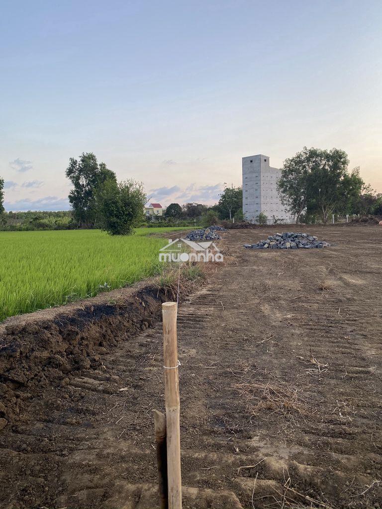 1354m đất nn, nước chảy bao quanh, gần biển, long tân, đất đỏ, brvt.