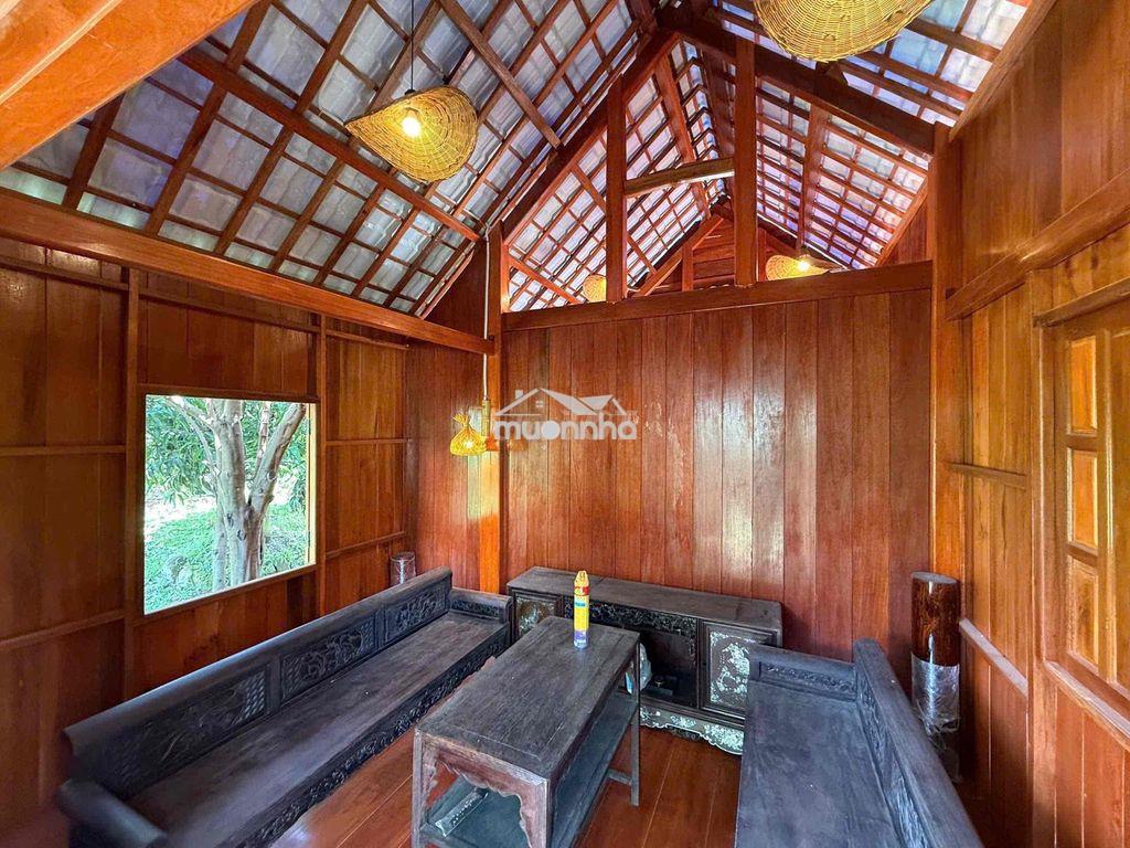 Cho thuê 3 nhà sân vườn nghỉ dưỡng biệt lập 2000m2 - Ảnh 4