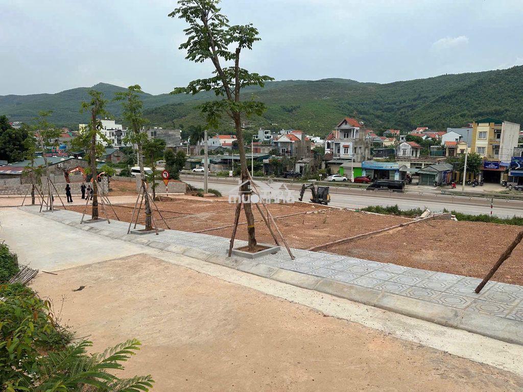 Mở bán quỹ căn fo giá đầu tư full thổ cư liền kề dụ án hạ long xanh - Ảnh 2