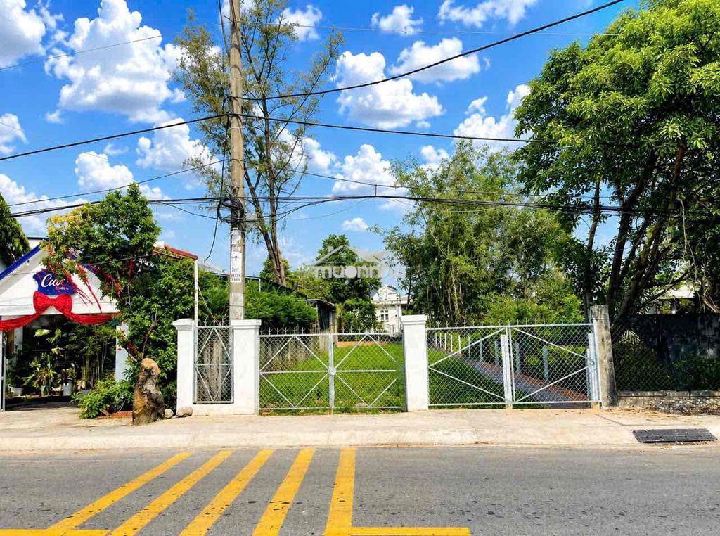 Chính chủ cần bán gấp lô đất 320m, 590triệu bán gấp chạy tiền viện phí - 3