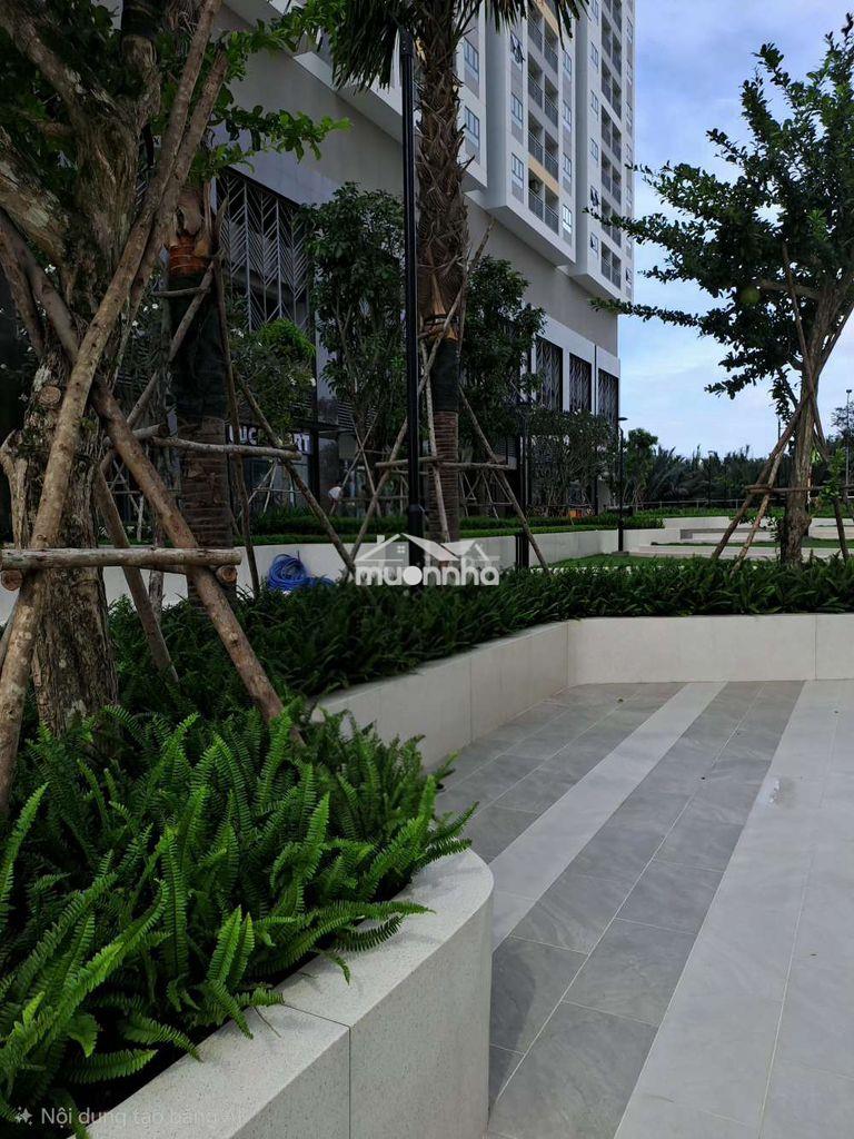 Cho thuê căn hộ q7 riverside 2 pn, 2wcc