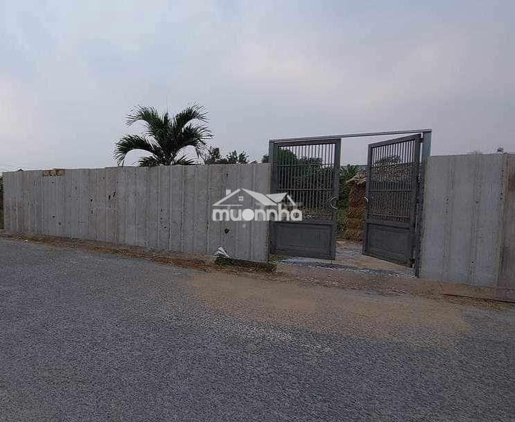 Đất nền nguyễn thị đành cách ql22 100m - Ảnh 3