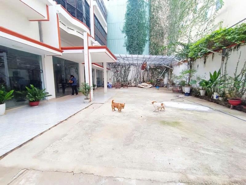 Cho thuê nhà nguyên căn tản viên tân bình – diện tích 20x20m – giá 120 triệu