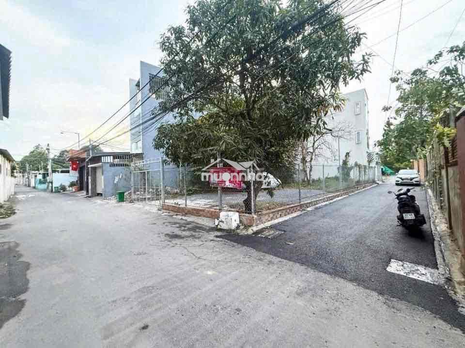 Bán lô đất phường hiệp hoà vị trí đẹp - Ảnh 2