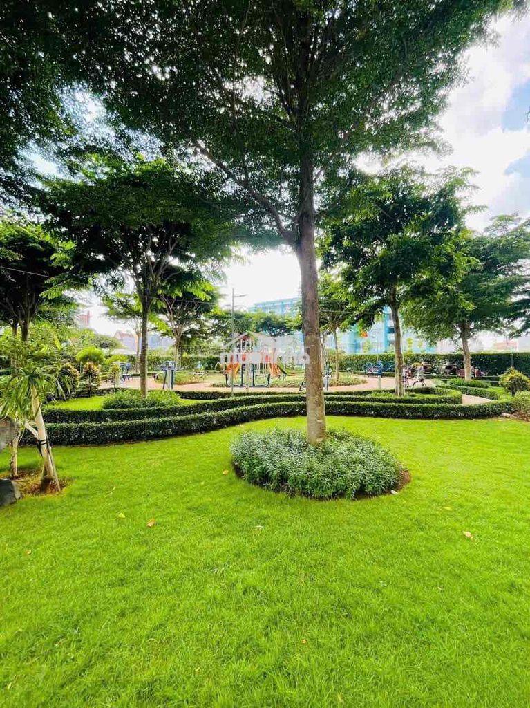 Cần cho thuê căn hộ 1pn pegasuite 1 -nhà trống -nhiều tiện ích nội khu - Ảnh 4