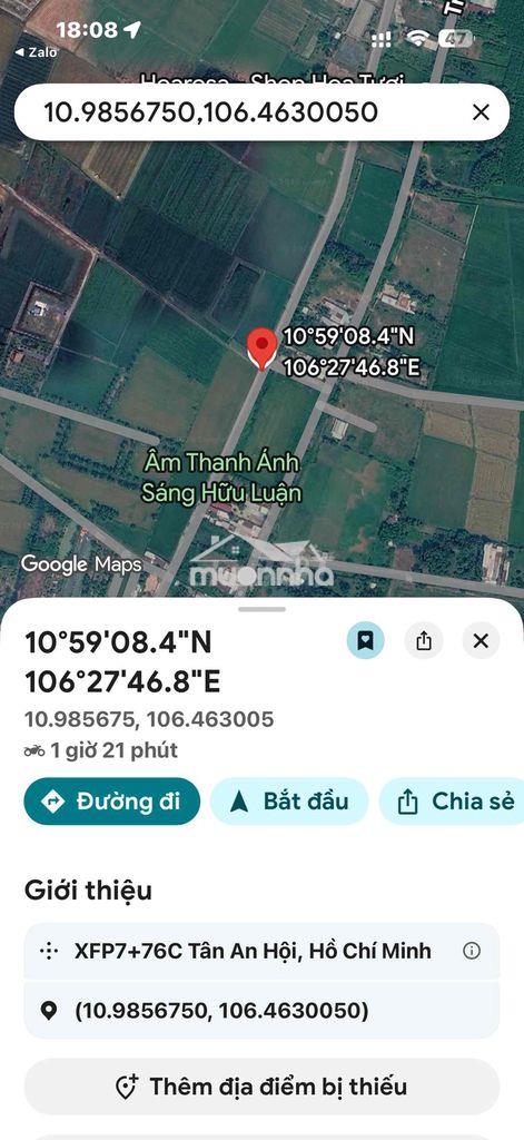 Đất đẹp củ chi (chính chủ) - 4