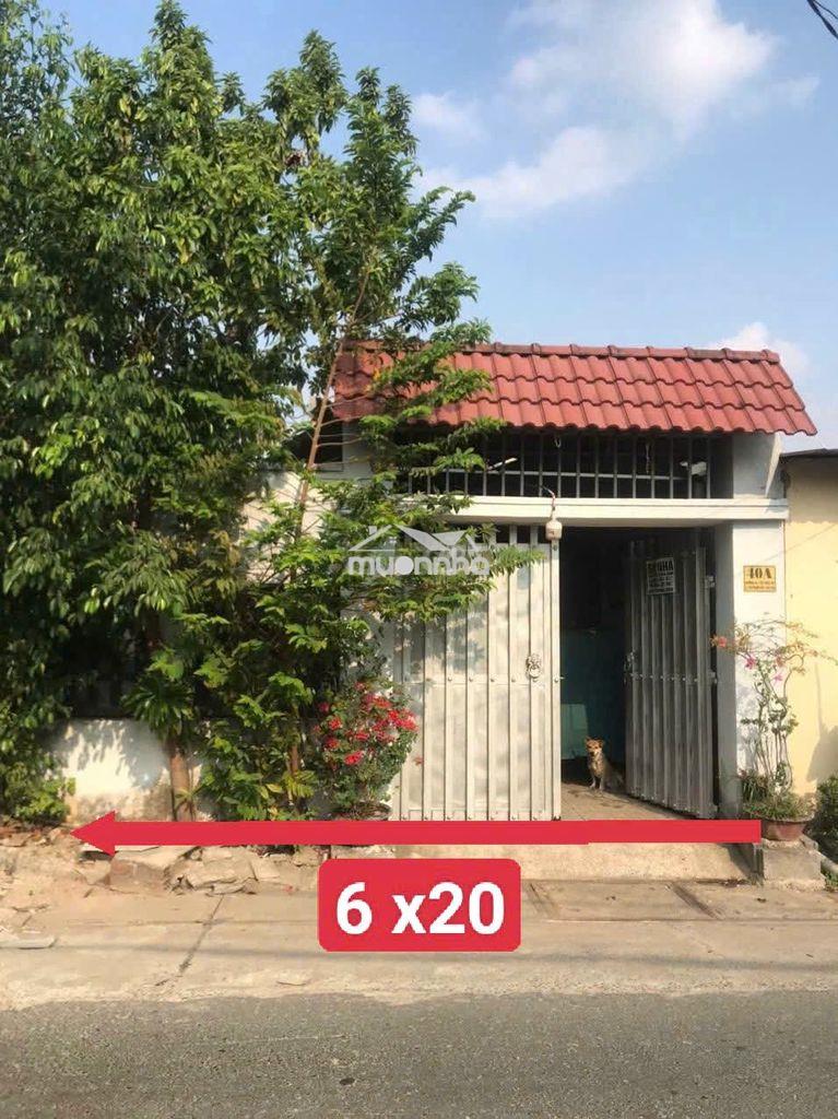 Nhà mt kinh doanh 12m gần chợ việt kiều cần bán rất gấp 690 triệu